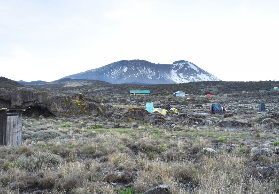 great north expeditions tanzania