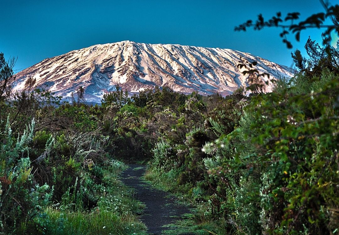 great north expeditions tanzania(1)