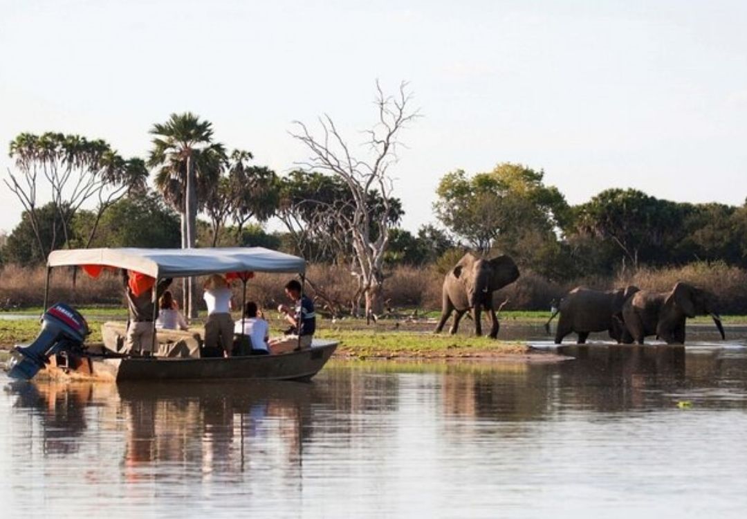 great north expeditions tanzania(12)