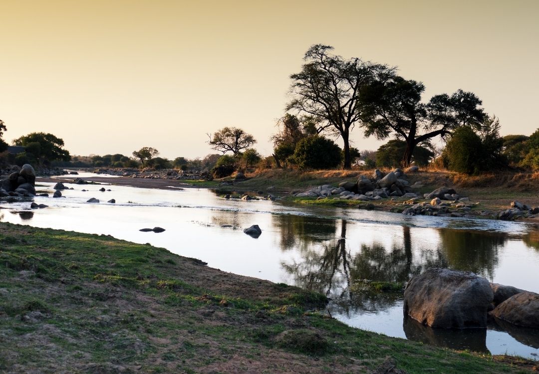 great north expeditions tanzania(13)
