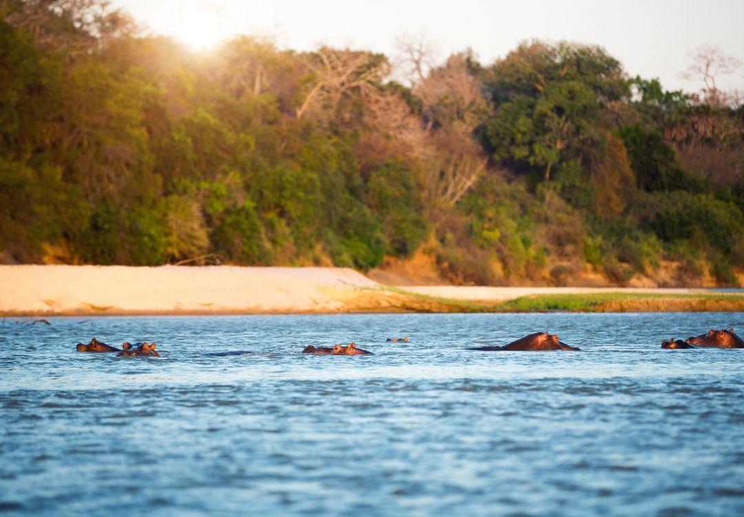 great north expeditions tanzania(15)