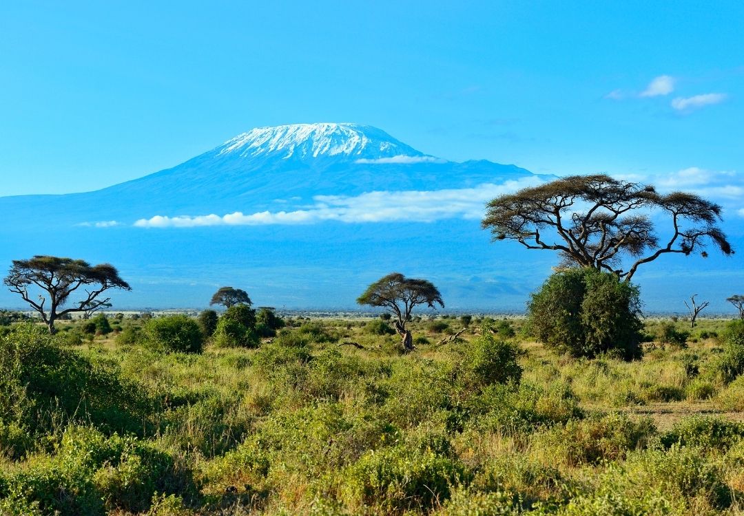 great north expeditions tanzania(18)