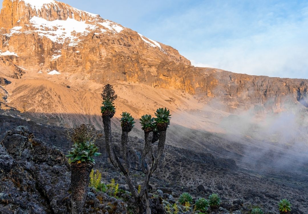 great north expeditions tanzania(2)