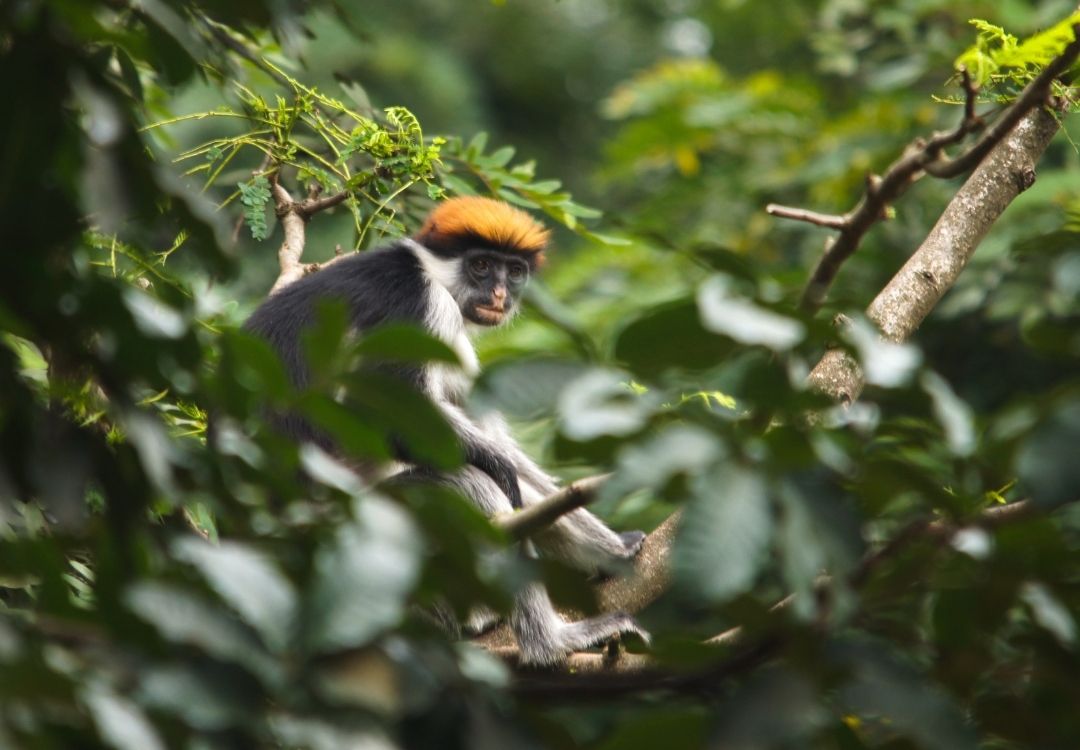 great north expeditions tanzania(29)