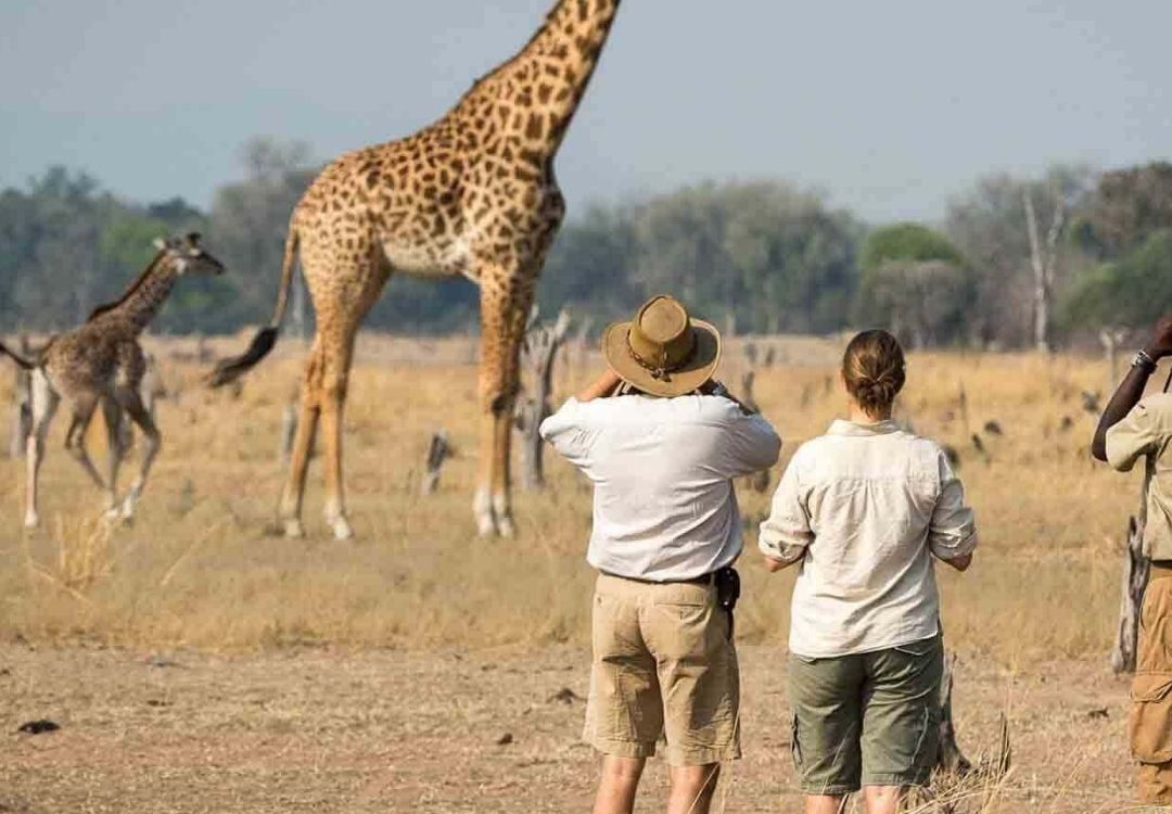 great north expeditions tanzania(29)