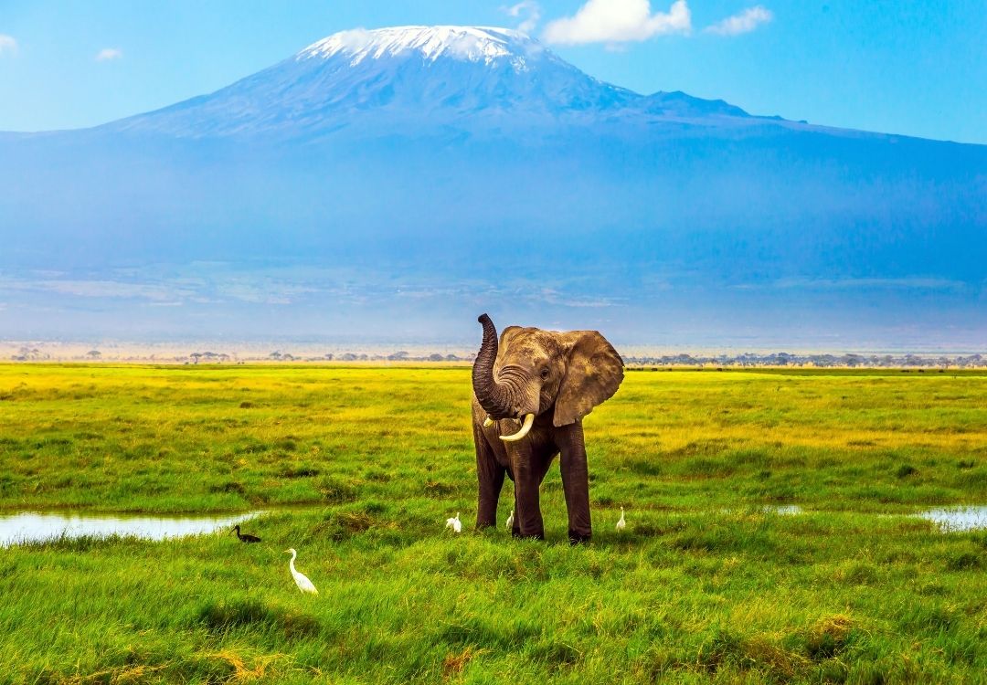 great north expeditions tanzania(4)