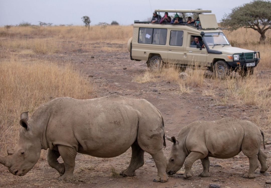 great north expeditions tanzania(6)