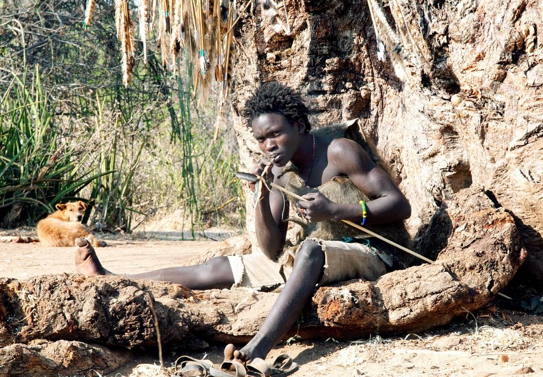 great north expeditions tanzania(63)